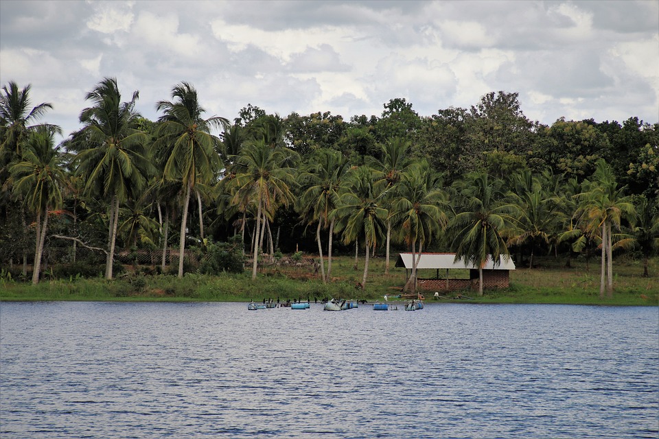 Sri Lanka Visa for Estonian citizens